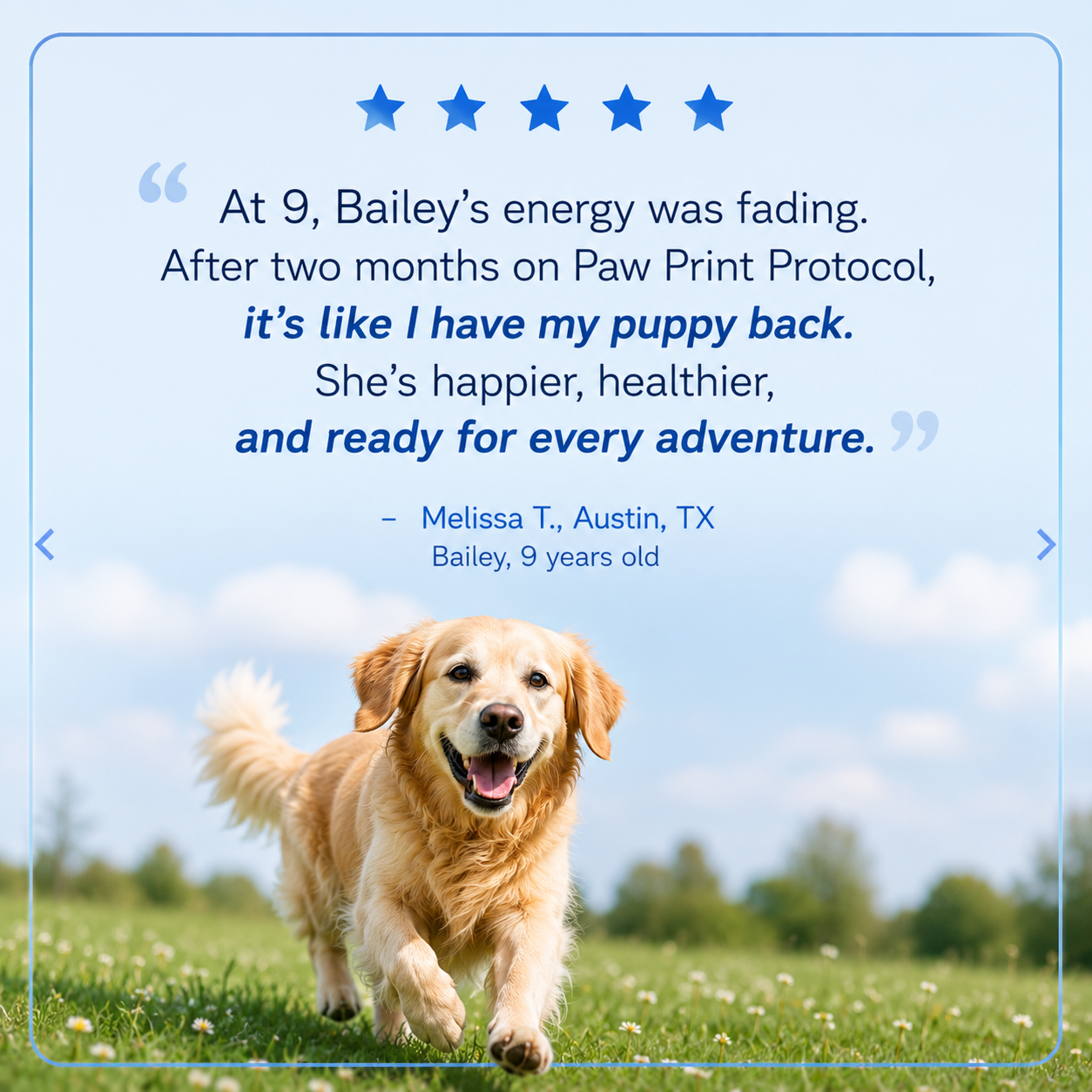 Daily Liquid Multivitamin Supplement for Dogs – Immune, Skin & Overall Health Support