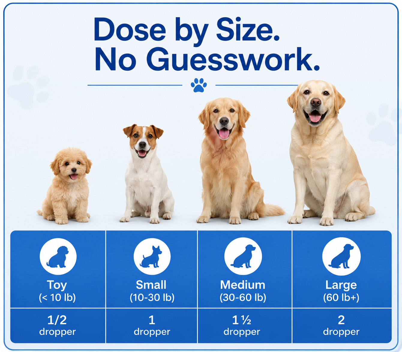 Daily Liquid Multivitamin Supplement for Dogs – Immune, Skin & Overall Health Support
