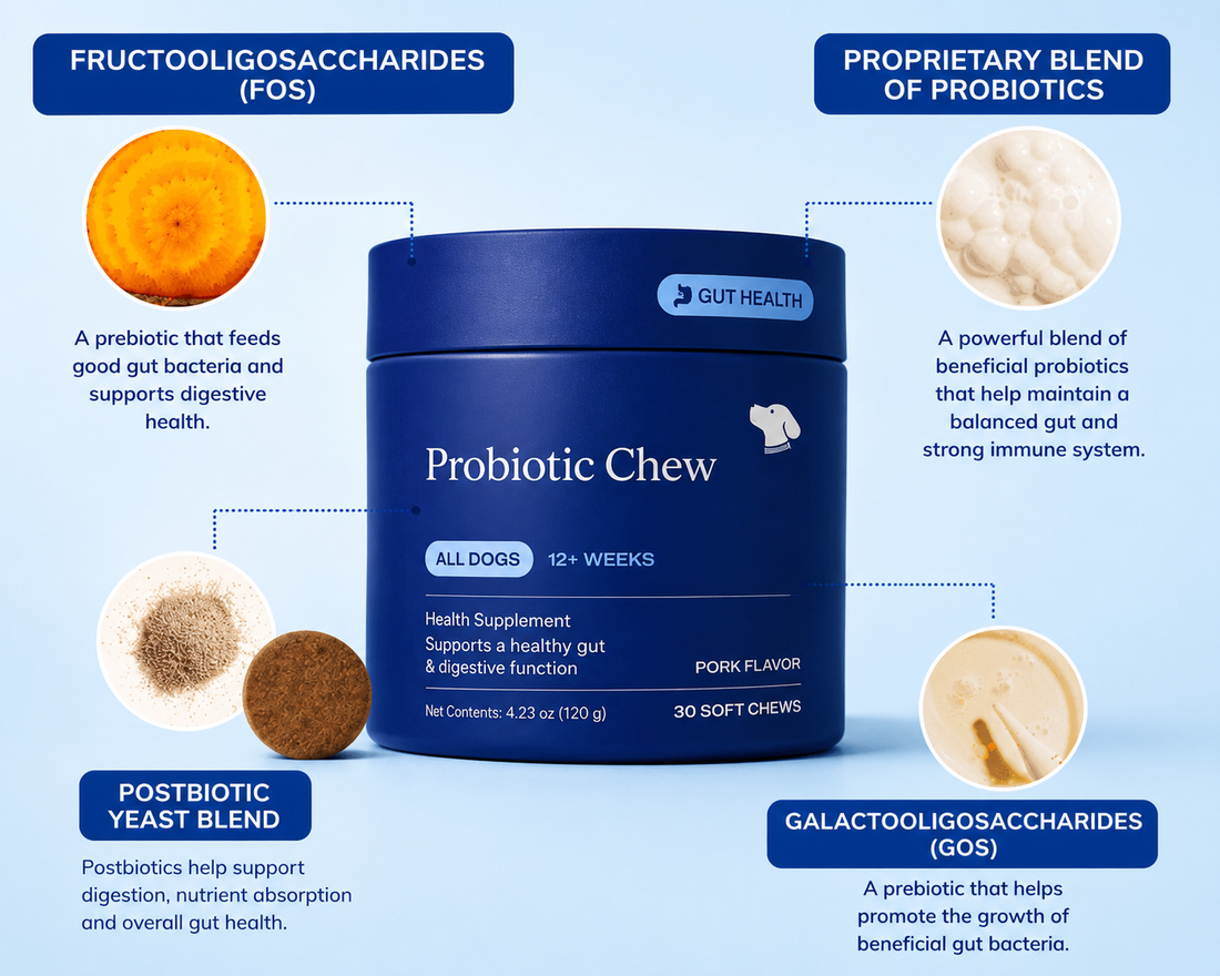 22-in-1 Dog Multivitamin For Skin Joints And Overall Health