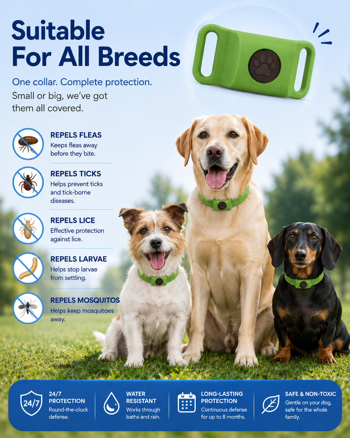 Adjustable Flea & Tick Protection Collar for Dogs – All-Season Anti-Tick Pet Collar
