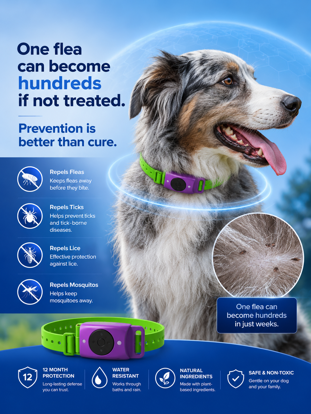 Adjustable Flea & Tick Protection Collar for Dogs – All-Season Anti-Tick Pet Collar