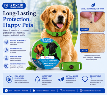 Adjustable Flea & Tick Protection Collar for Dogs – All-Season Anti-Tick Pet Collar